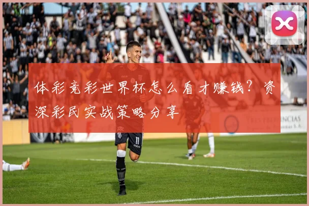 体彩竞彩世界杯怎么看才赚钱？资深彩民实战策略分享